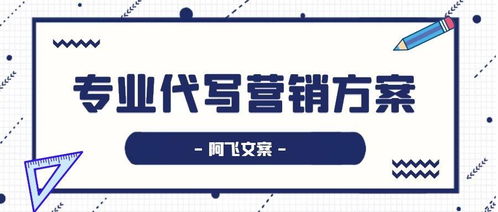 营销策划方案怎么写 专业代写营销方案